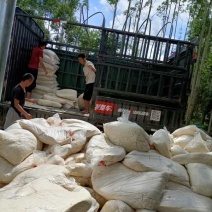 发酵的袋装豆渣是养殖朋友们的选择！而且成本可控制。