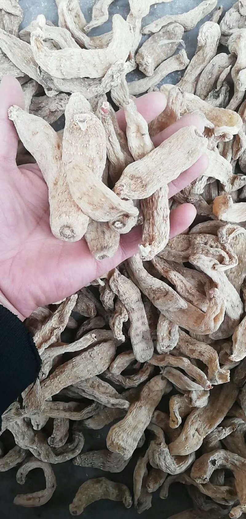 【咨询有惊喜】干天麻中药天麻欢迎老板咨询下单