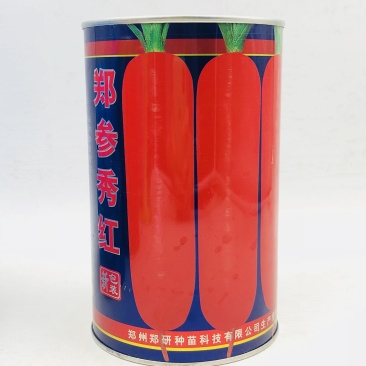 郑研郑参丰收红/整参秀红胡萝卜