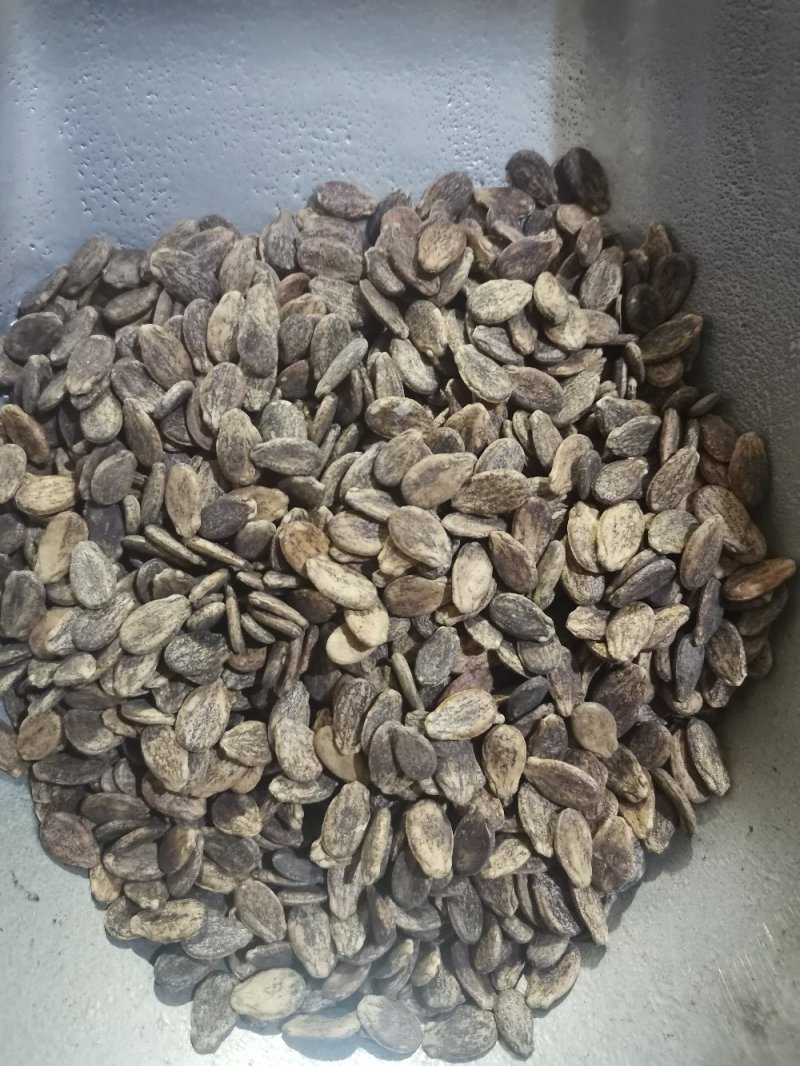 中药材西瓜子无硫熏药用一公斤起包邮