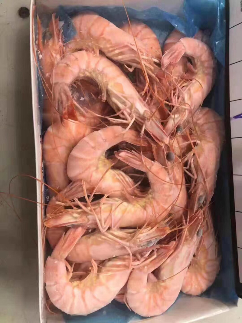 越南进口精品全规格黑虎虾450克/盒*10盒