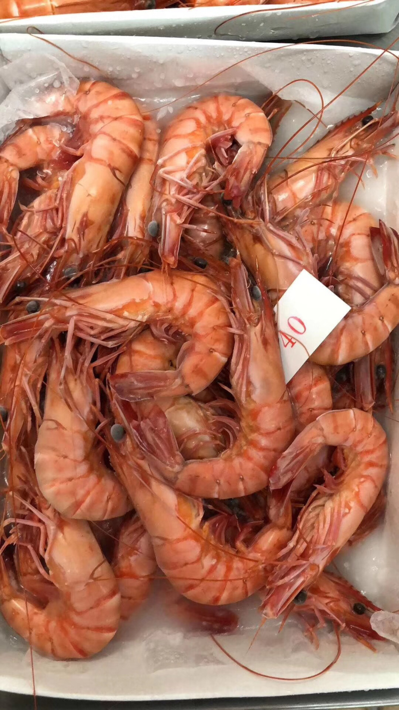 越南进口精品全规格黑虎虾450克/盒*10盒