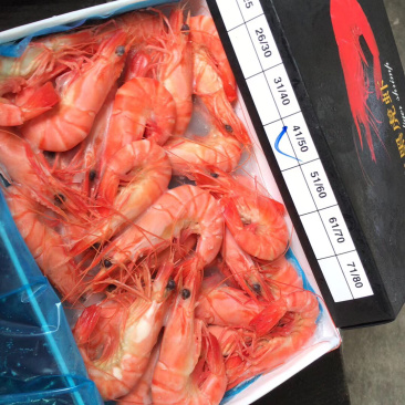 越南进口精品全规格黑虎虾450克/盒*10盒