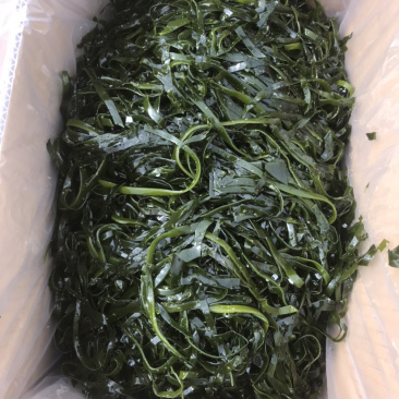 海带丝