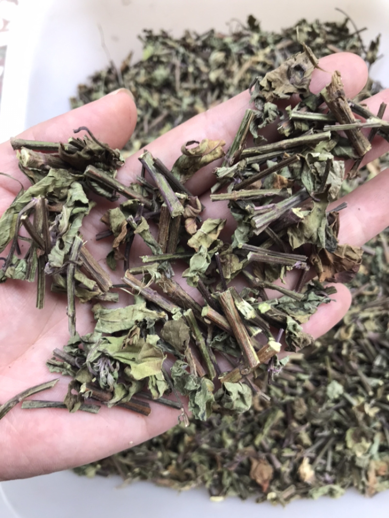 猫须草中药材中草药新货云南猫须草肾茶产地直销货源满包邮