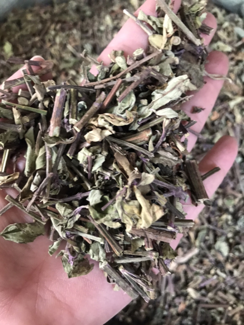 猫须草中药材中草药新货云南猫须草肾茶产地直销货源满包邮