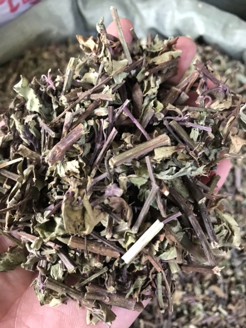 猫须草中药材中草药新货云南猫须草肾茶产地直销货源满包邮