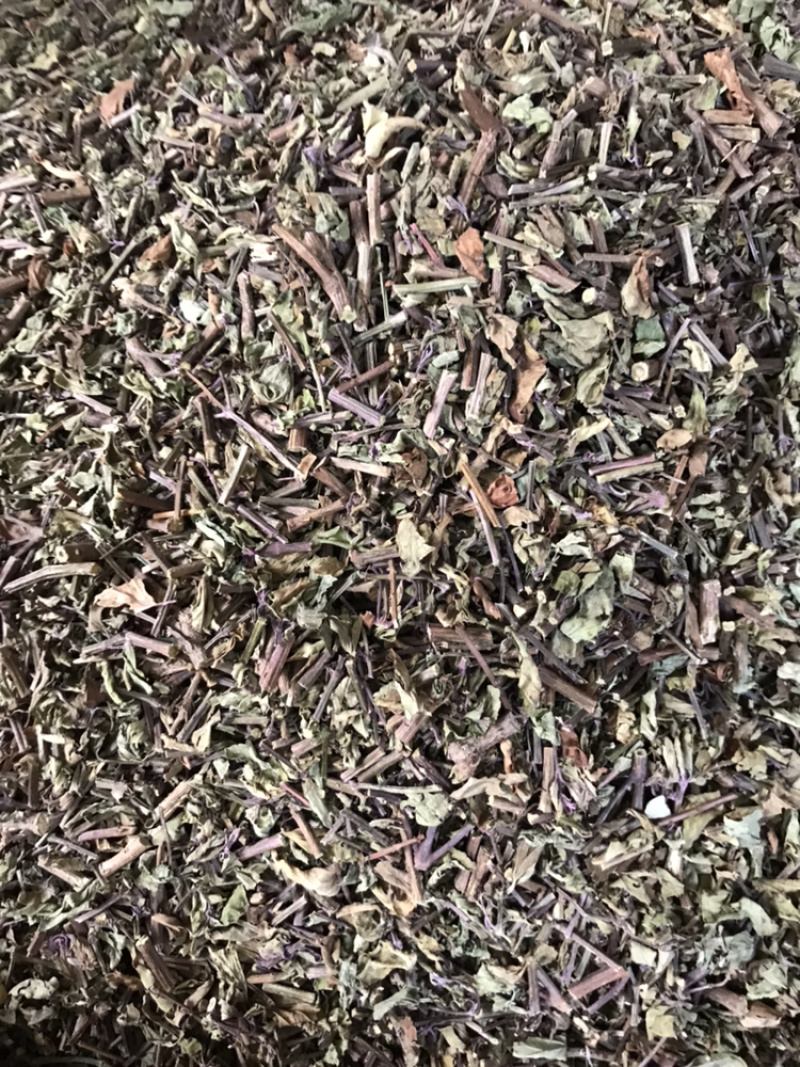 猫须草中药材中草药新货云南猫须草肾茶产地直销货源满包邮