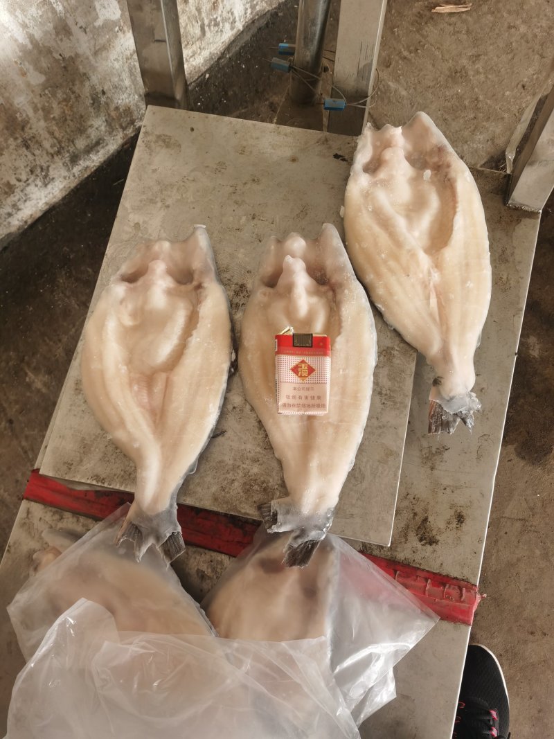 开背巴沙鱼，湄公鱼，10公斤开背鱼，厂家直供