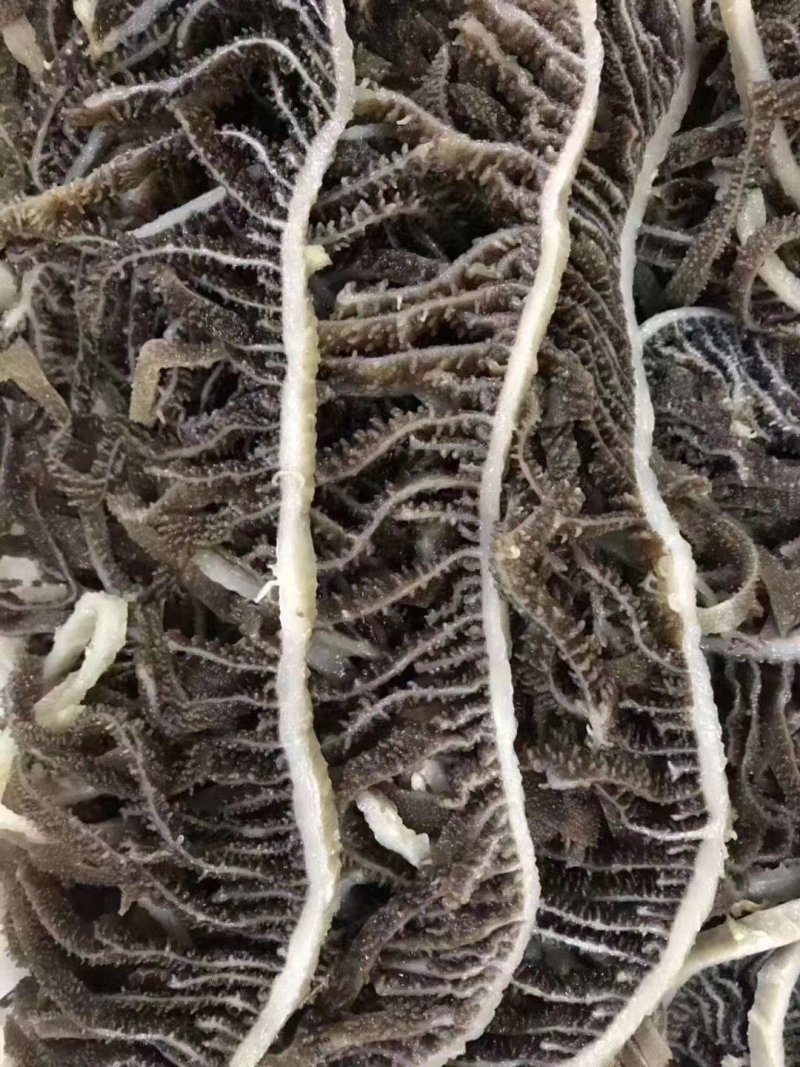 袋装黑丝千层肚黑千层火锅必点