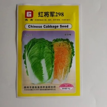 德高红将军298大白菜种子抗根肿病能力强内球叶桔色