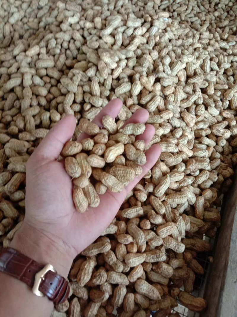 预订鲜花生干花生花生米花生果🥜🥜🥜🥜