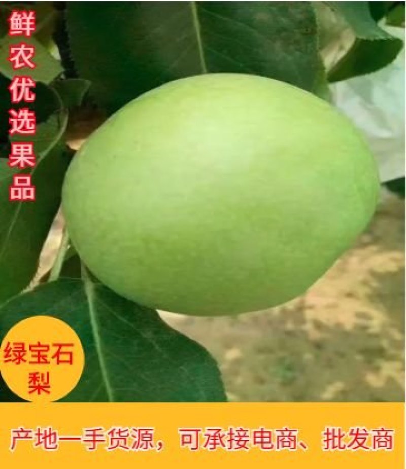 供应一级纸袋绿宝石梨/一件代发产地供货各种订单专业加工