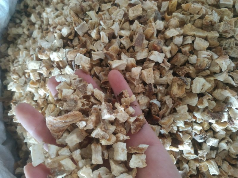菊苣根～新货～质量保证～质量好欢迎咨询采购
