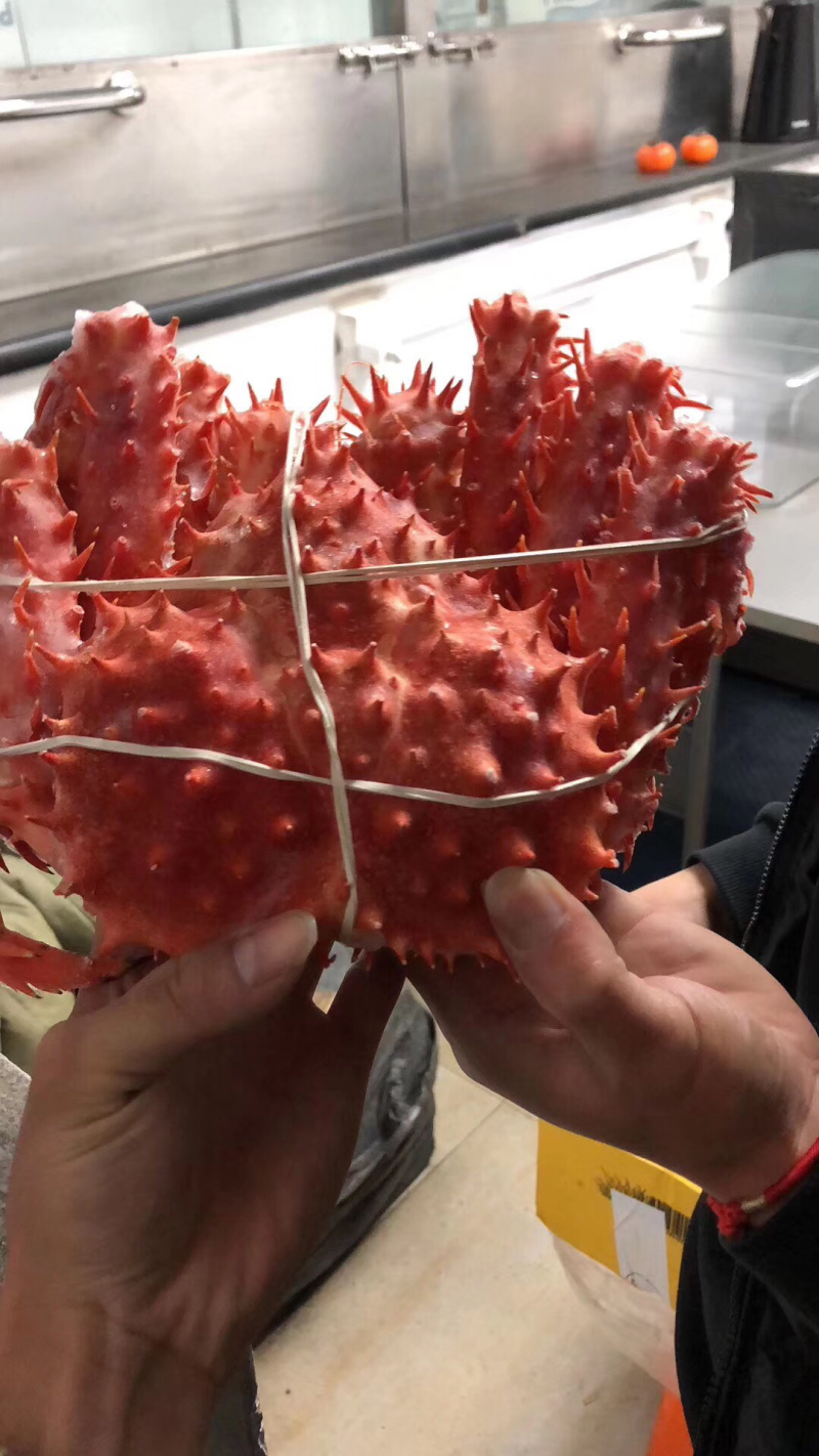 智利进口原装熟冻全规格帝王蟹