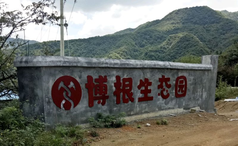 乌金猪出栏150头/280斤均重乌蒙山黑猪肉质优良