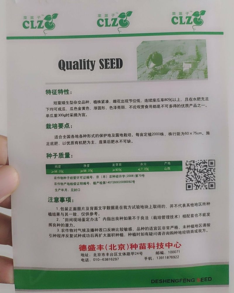 金珠西葫芦种子杂交西葫芦蔬菜黄色西葫芦种子水果