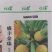 金珠西葫芦种子杂交西葫芦蔬菜黄色西葫芦种子水果