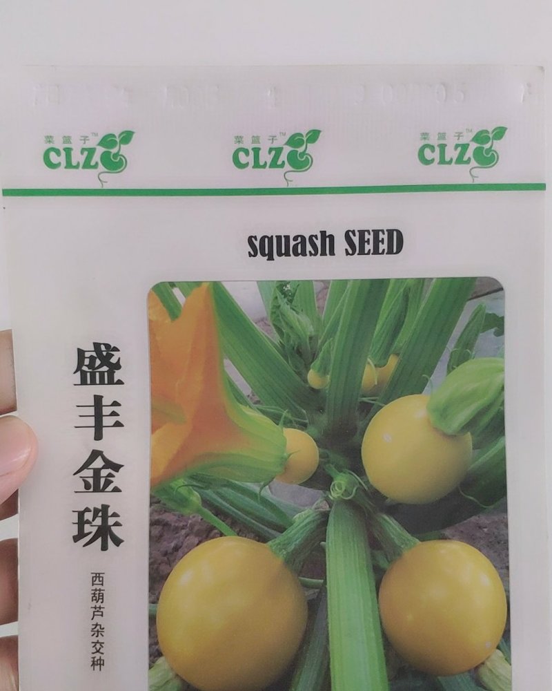 金珠西葫芦种子杂交西葫芦蔬菜黄色西葫芦种子水果