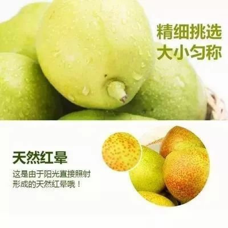 库尔勒香梨