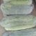 冬瓜上市，物美价廉。欢迎各位朋友前来采购。