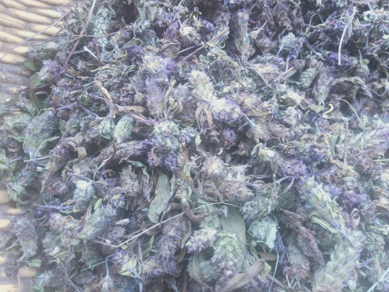 夏枯球陕西野生干货药用