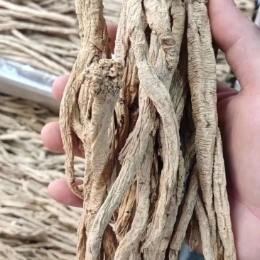 纹党参～1斤起售～质量保证～欢迎咨询采购