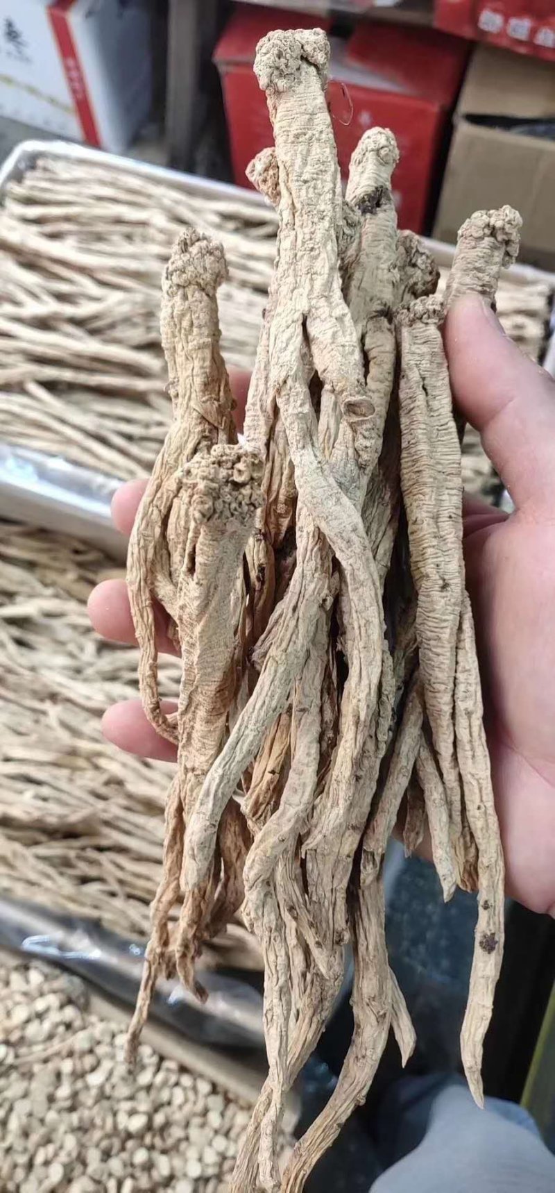 纹党参～1斤起售～质量保证～欢迎咨询采购