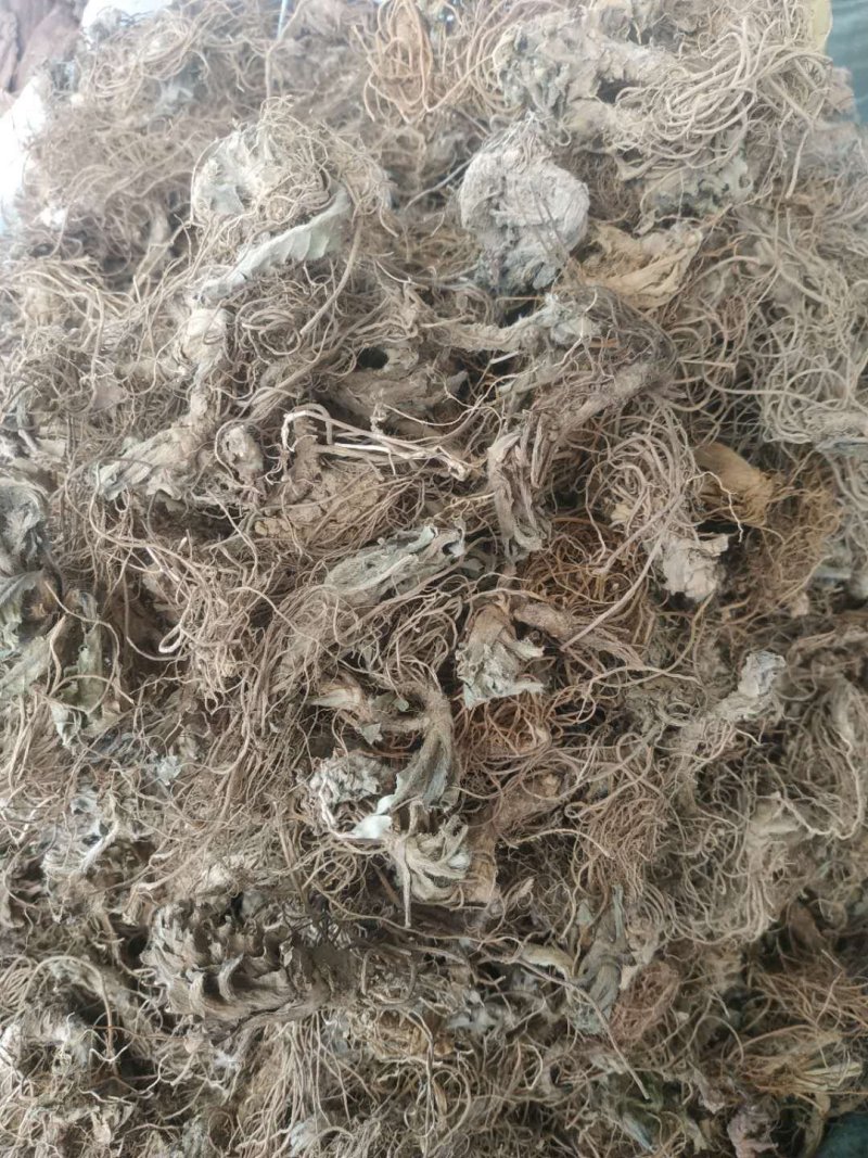 地胆头～～量大优惠～欢迎老板选购~