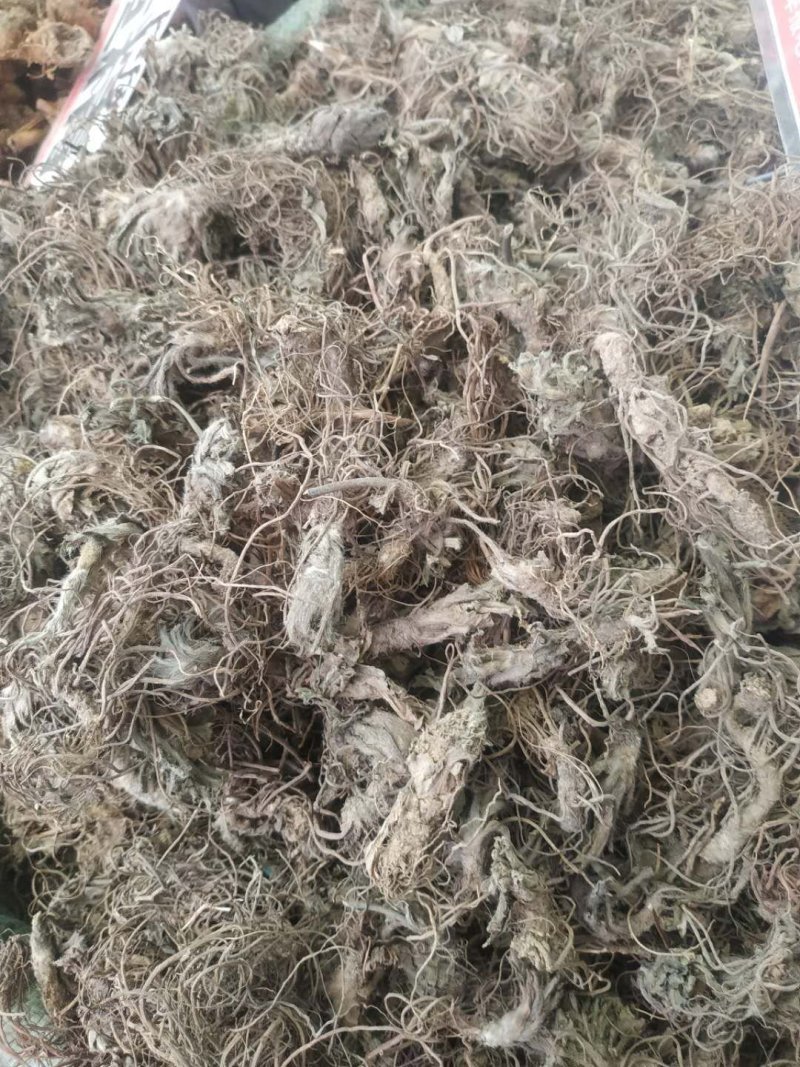 地胆头～～量大优惠～欢迎老板选购~