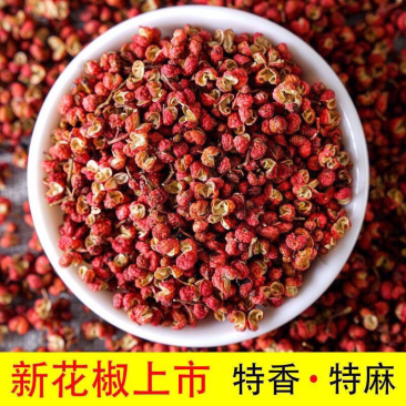 现摘陕西大红袍新鲜花椒特麻特香一件代发包邮