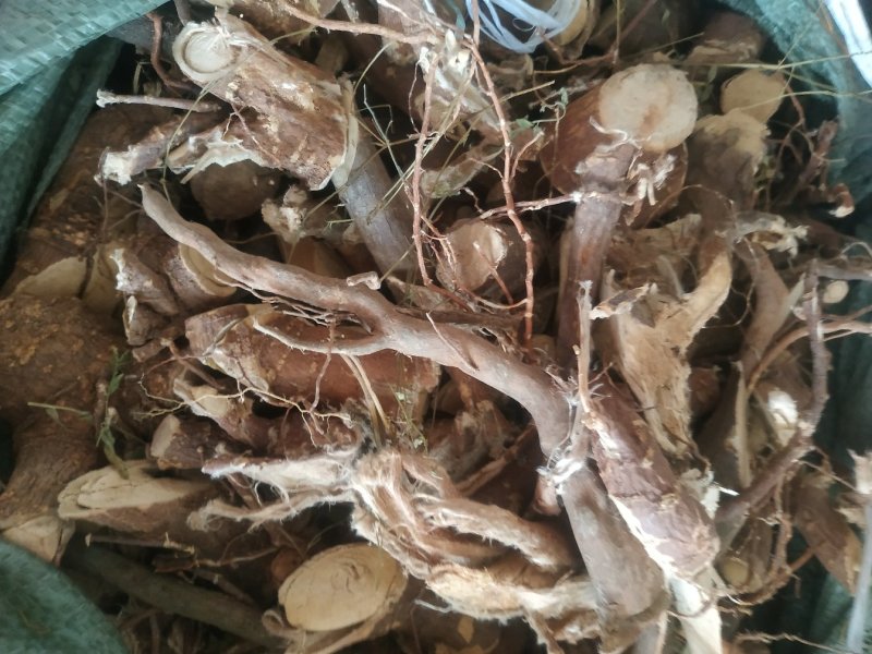 了哥王根28～了哥王片18广西货～量大优惠～1公斤起售～