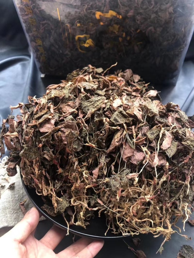 金线莲～新货～1斤起售～质量好价格便宜欢迎咨询采购