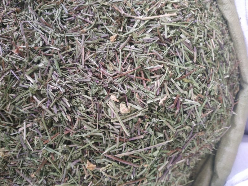 半枝莲～新货小叶半枝莲～~1公斤起售～