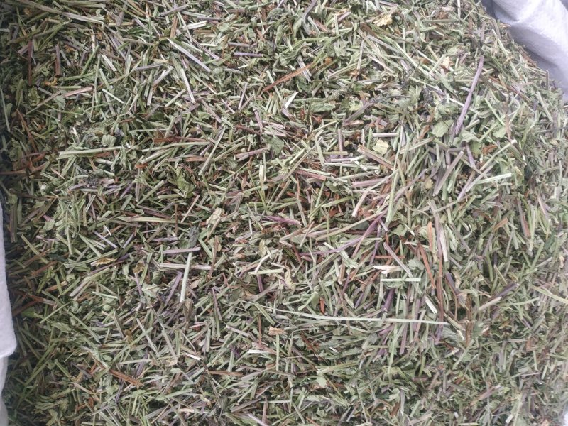 半枝莲～新货小叶半枝莲～~1公斤起售～