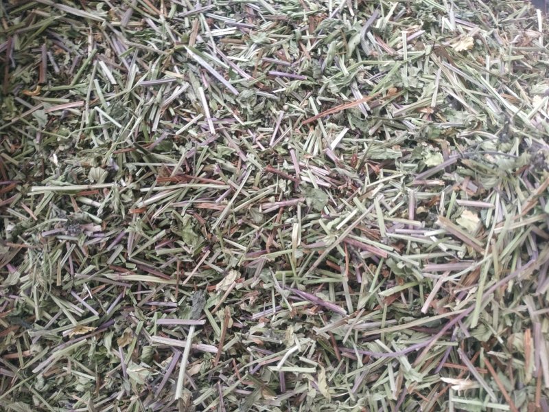 半枝莲～新货小叶半枝莲～~1公斤起售～