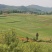 新鲜玉米，贵州农村原产地保证便宜，2020年新鲜玉米