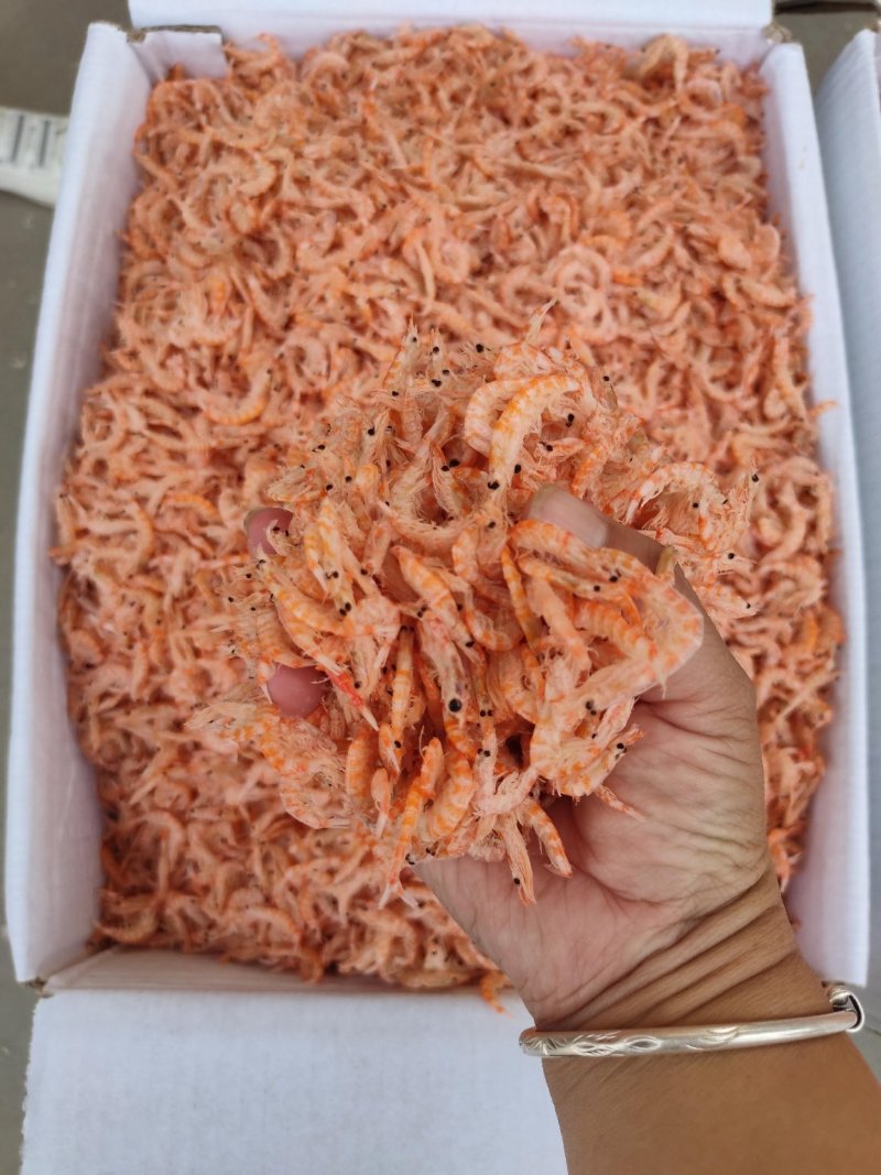 鳞虾皮，个大肉厚，可视频看货，产地直供