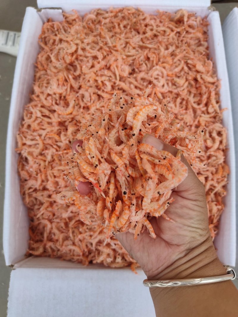 鳞虾皮，个大肉厚，可视频看货，产地直供