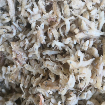饲料鱼干一手货源基围虾饲料鱼大量有货