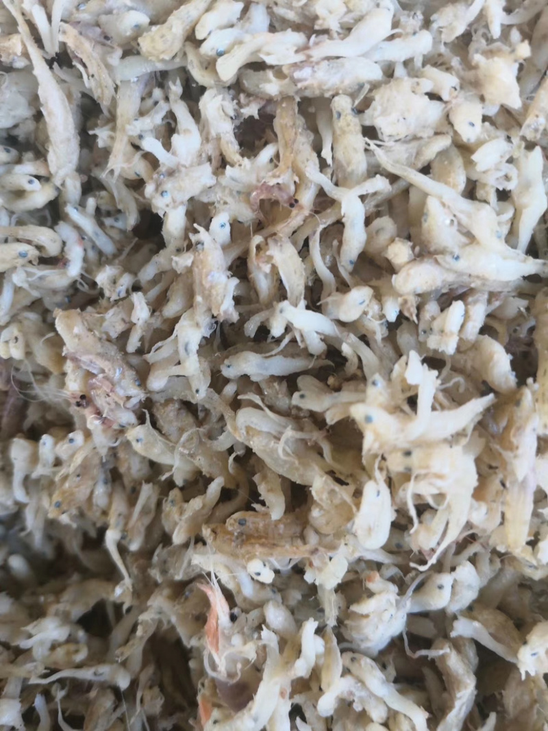 饲料鱼干一手货源基围虾饲料鱼大量有货