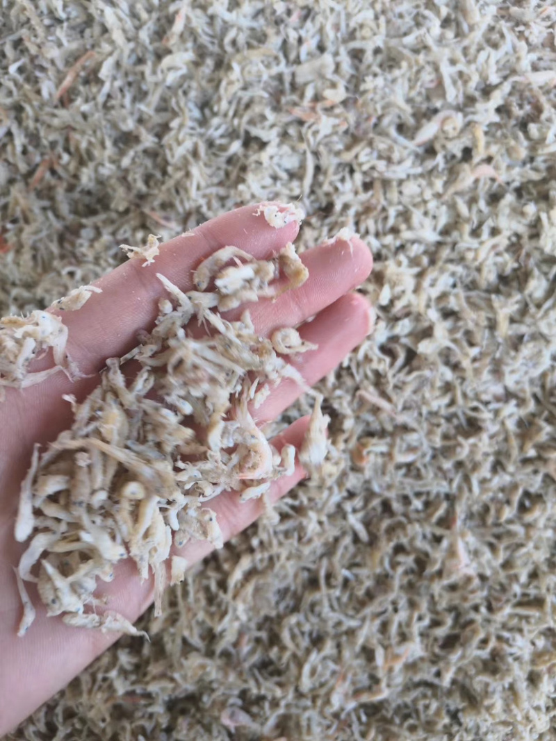 饲料鱼干一手货源基围虾饲料鱼大量有货
