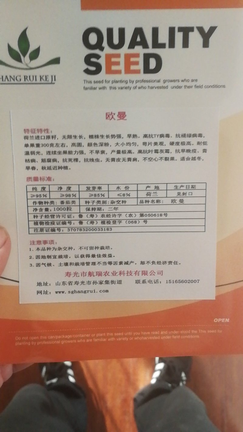 西红柿种子早春越冬番茄品种，抗TY抗死棵欧曼