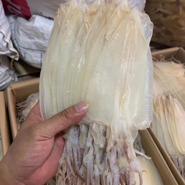 全网*****的优鱼干，优鱼干，优鱼干，优鱼干