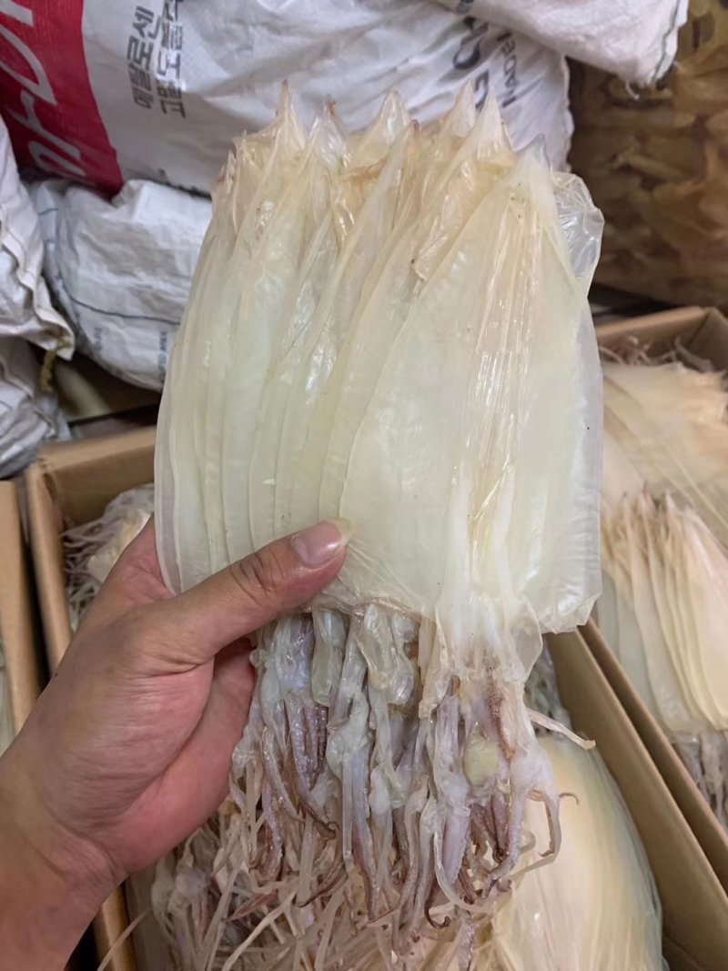 全网*****的优鱼干，优鱼干，优鱼干，优鱼干