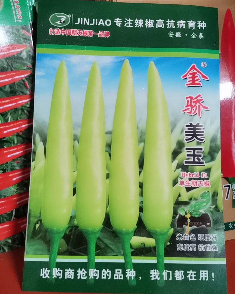 【金骄美玉】朝天椒辣椒种子泡椒种子小米辣泡椒米辣