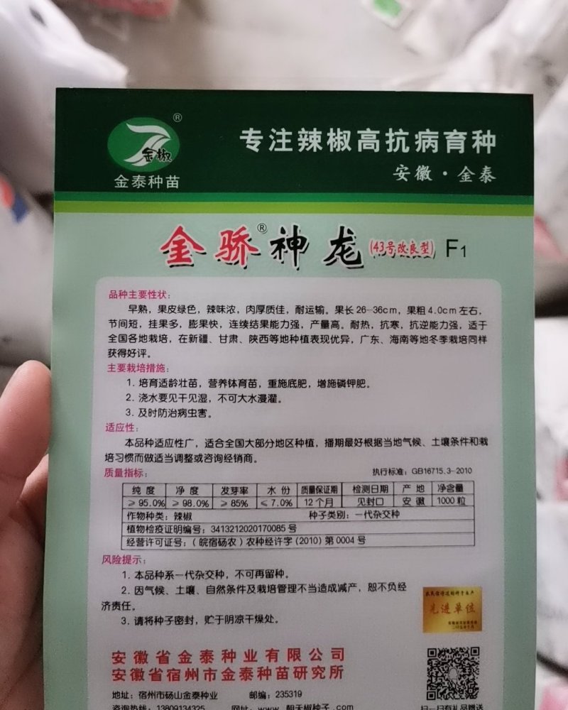 【金骄神龙】大螺丝椒辣椒种子陇椒全国发货