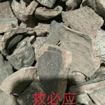 救必应，货真价实，放心购买