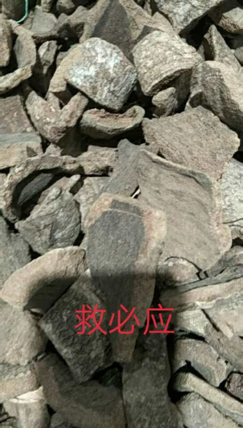 救必应，货真价实，放心购买