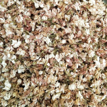 茉莉花茶【包邮】三斤起发货可批量可零售量大从优